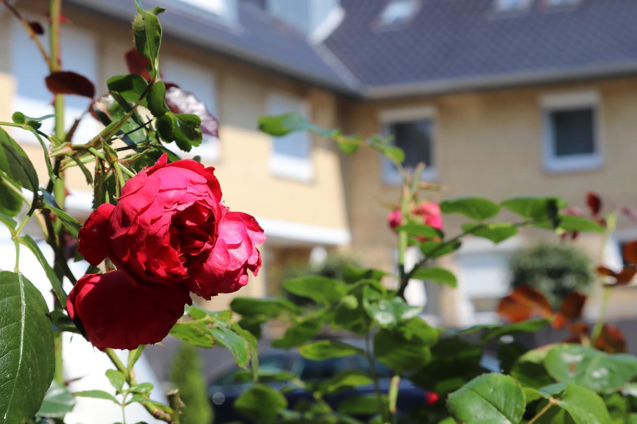 Hotel Ostseeresidenz Cammann Grömitz מראה חיצוני תמונה